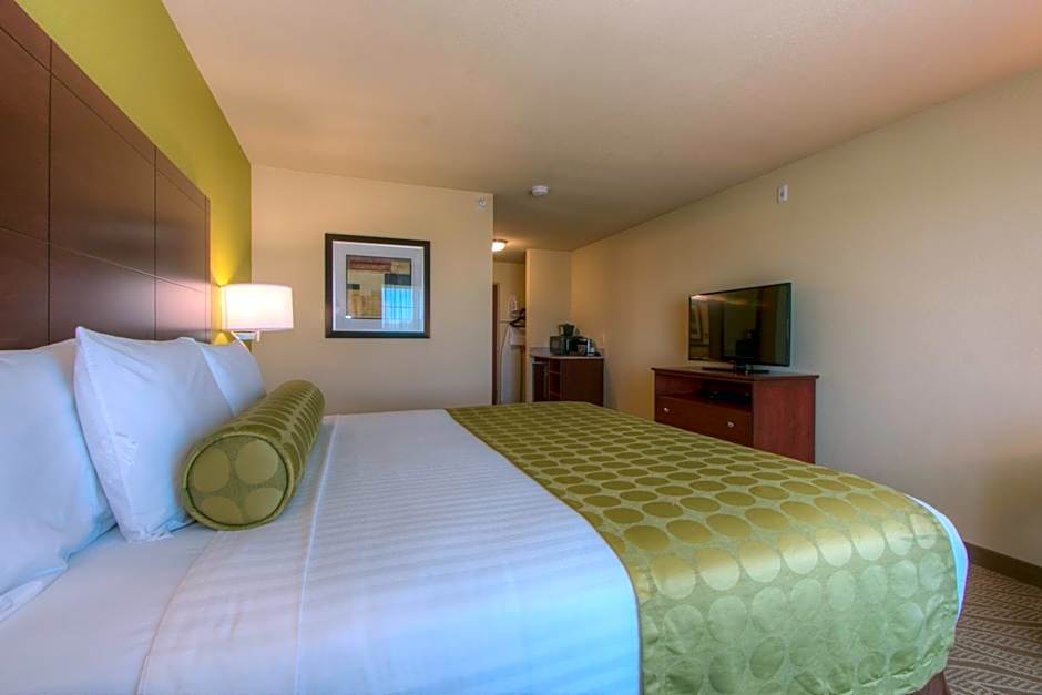 Cobblestone Inn & Suites - Holyoke