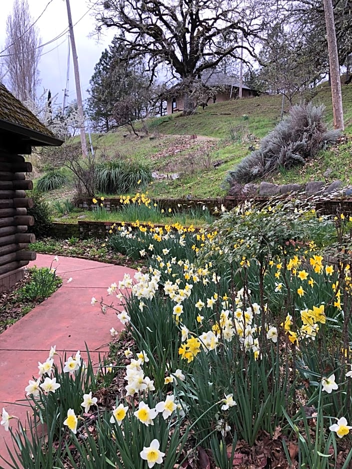 Heartwood Mountain Sanctuary