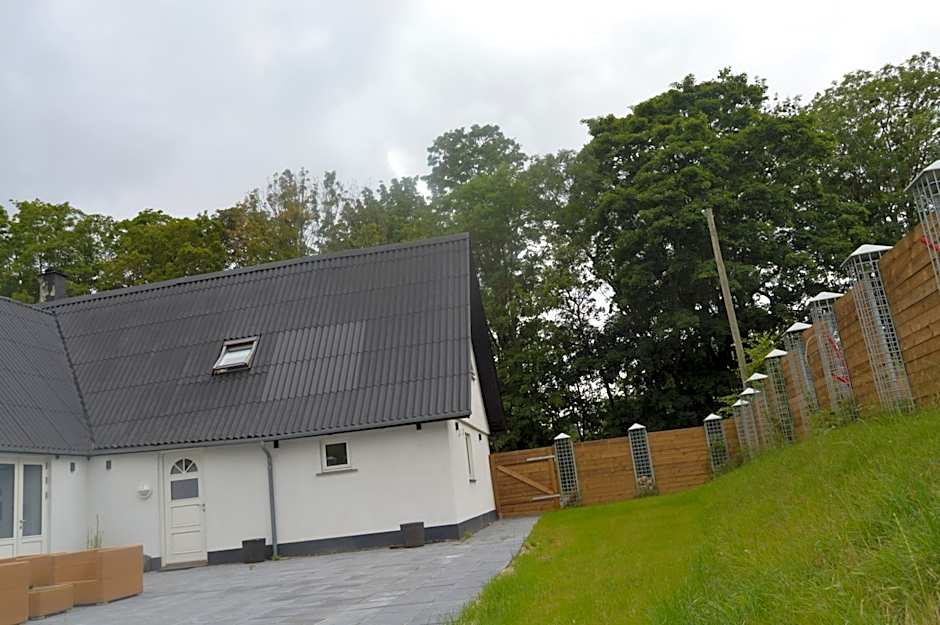 Serengeti & Stayover