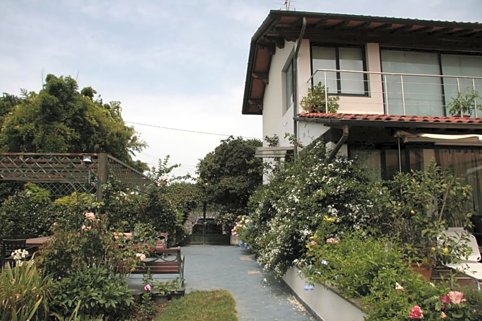 PIETRASANTA - VERSILIA - Villa Arzilla Garden con piscina
