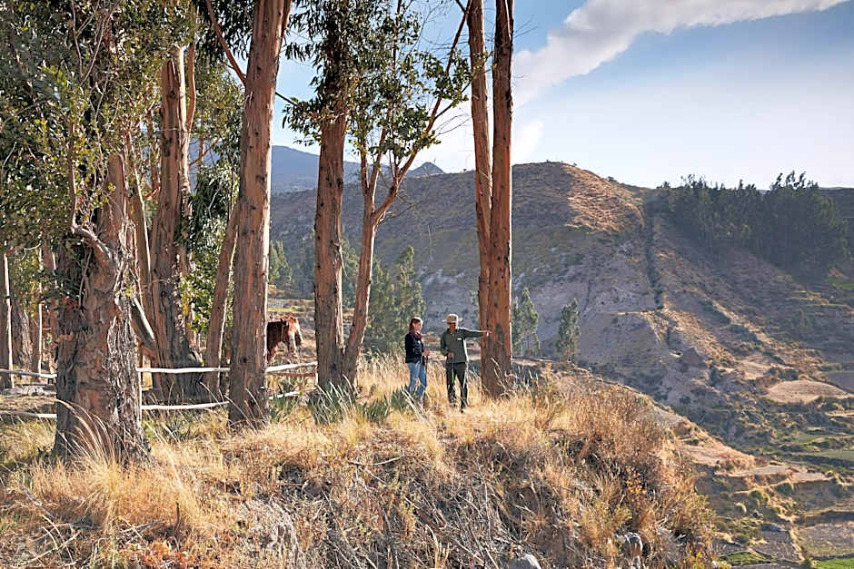 Las Casitas, A Belmond Hotel, Colca Canyon