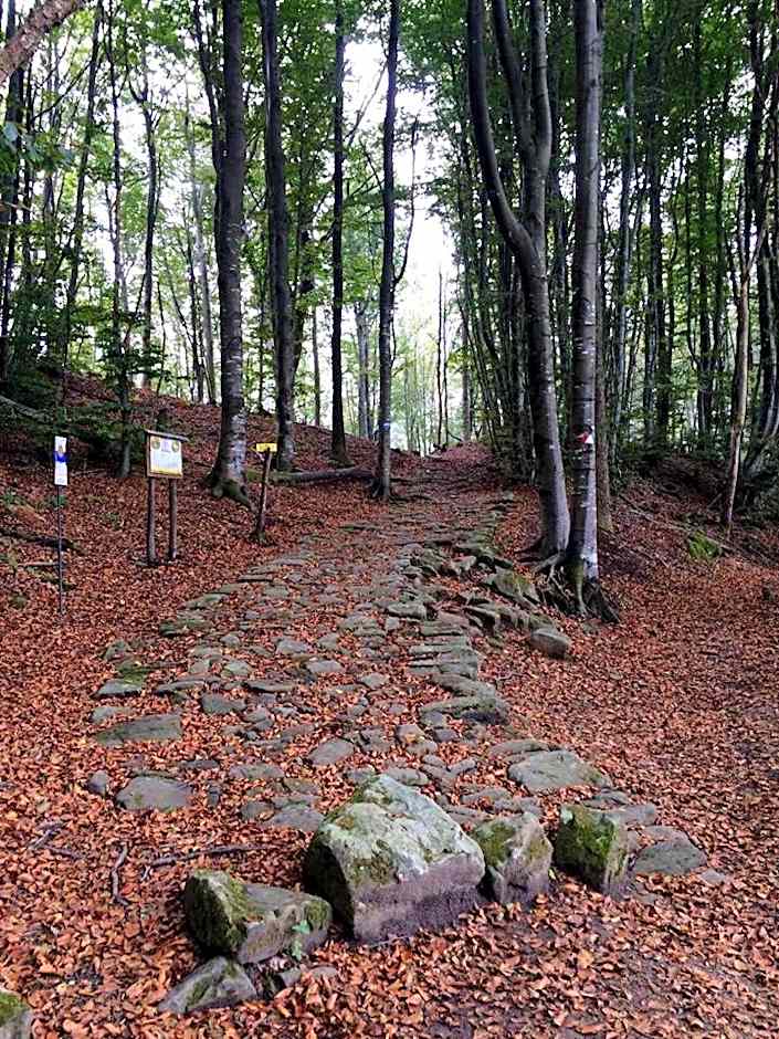 Albergo Ristorante Poli