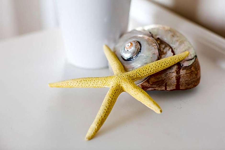 Anchor's Rest