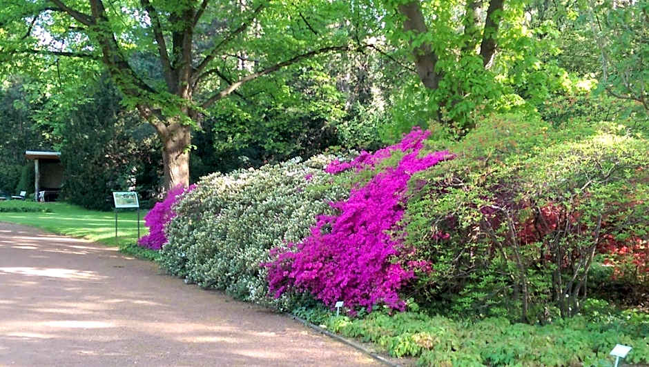 Congress Hotel am Stadtpark