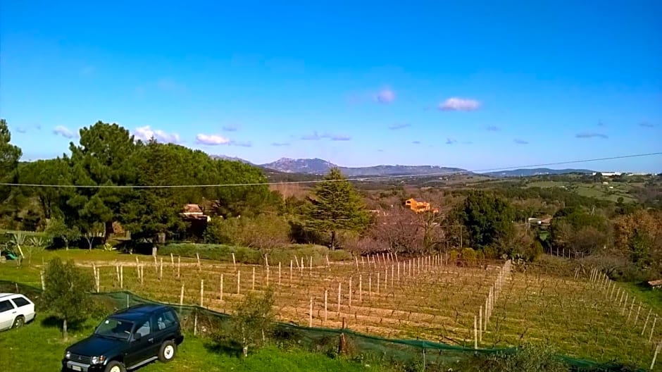 Agriturismo La Vigna