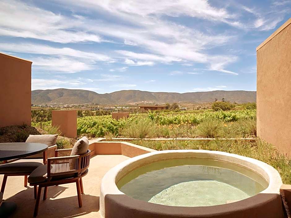 Banyan Tree Veya, Valle de Guadalupe