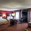 Hampton Inn By Hilton And Suites Detroit/Airport-Romulus