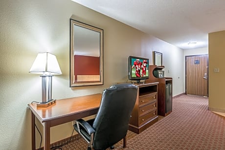 Suite 1 King Bed Non-Smoking