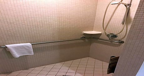 Queen Room with Two Queen Beds and Roll-In Shower - Disability Access/Non-Smoking