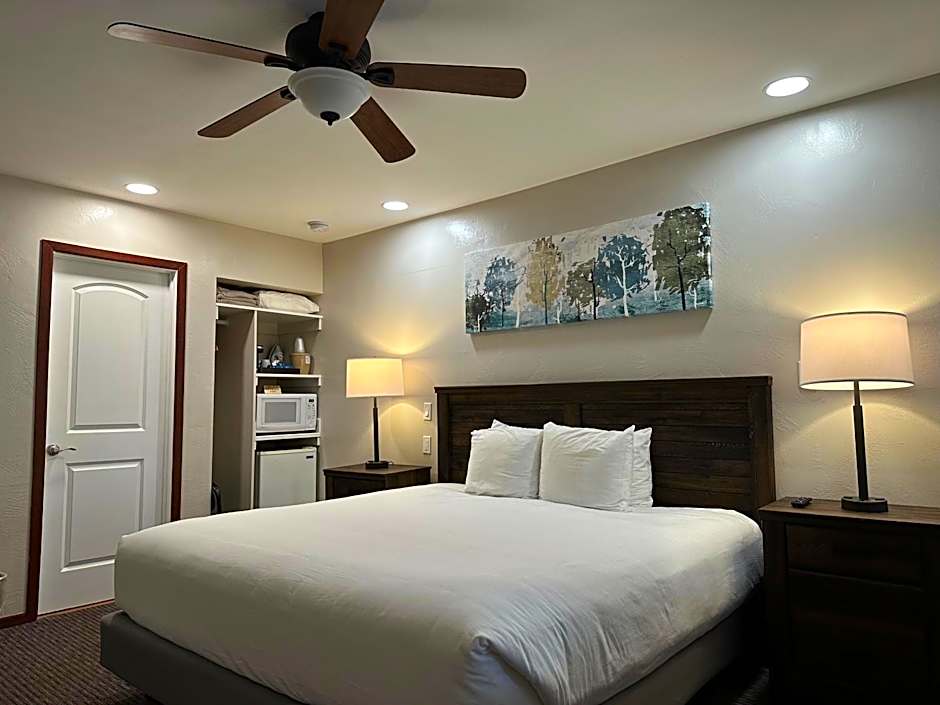 Photo 1 of 4 of Standard 1 King Bed
