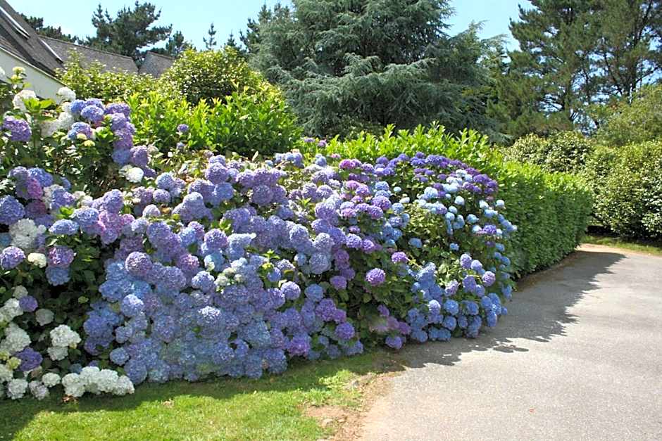 Logis Latitude Ouest Hôtel Restaurant & Spa