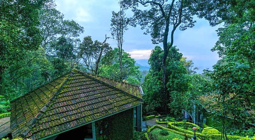 The Tall Trees Munnar