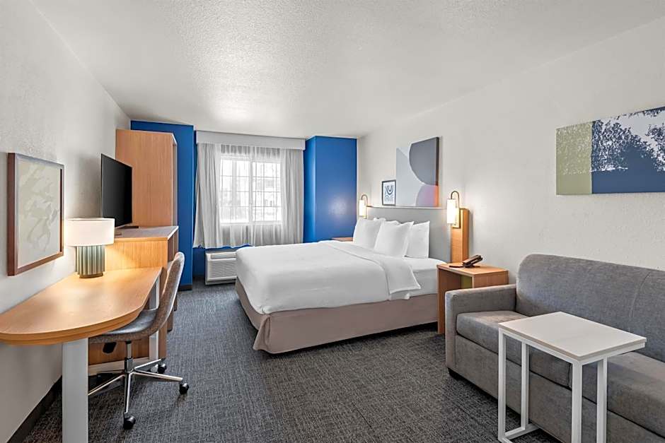 Spark by Hilton Appleton