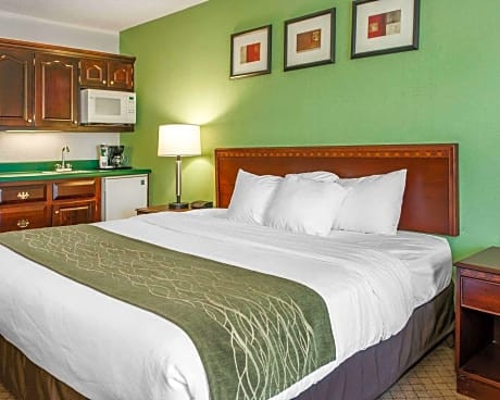 1 King Bed, 1 Room Suite, Nonsmoking