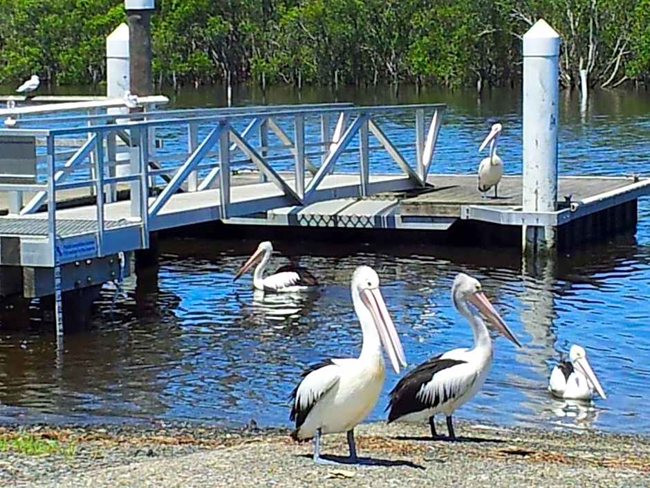 Harrington Village Motel