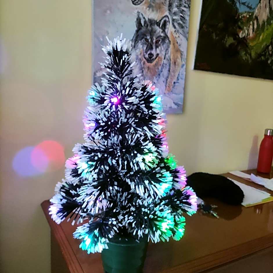 Bed and Breakfast La Campanula