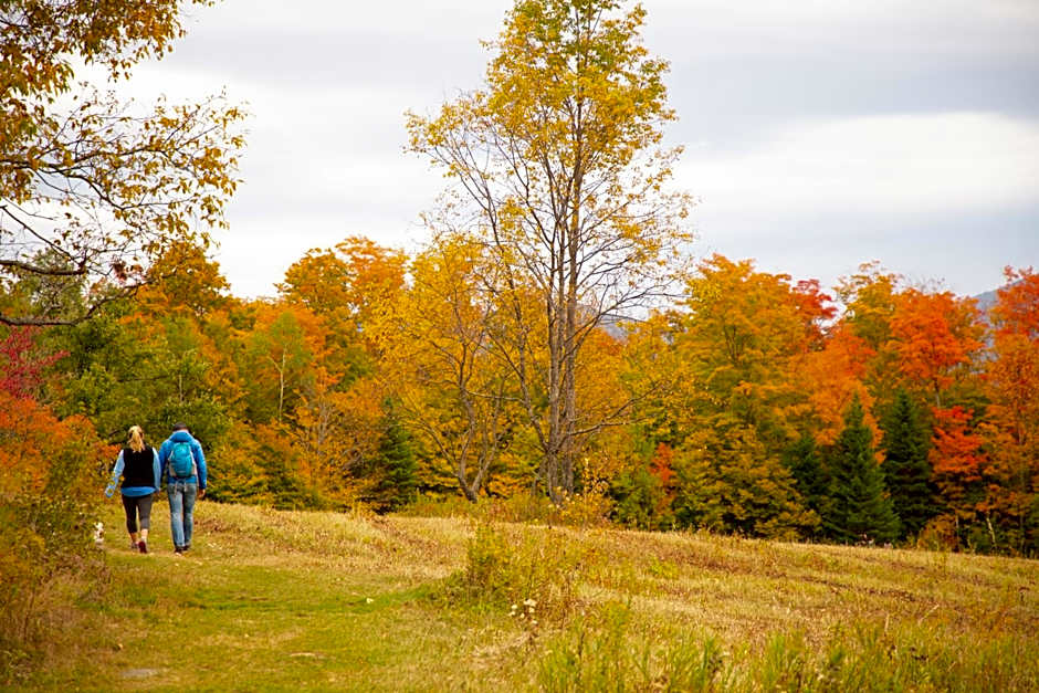 Lake Placid Inn: Main Street