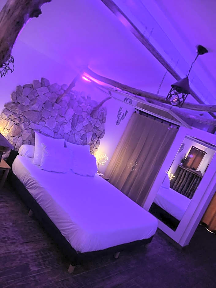 LOVE Room Danslesbois avec spa