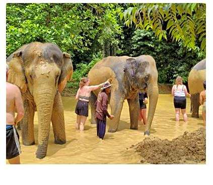 Khao Sok River Lodge Hotel