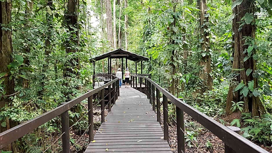Ciudad Perdida EcoLodge