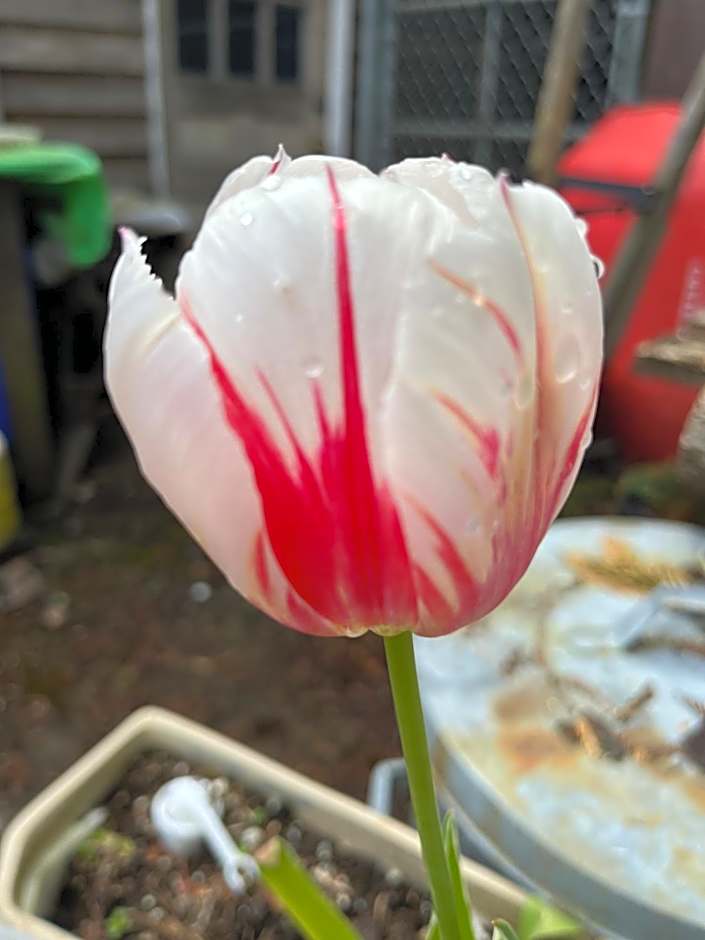 Cycle Inn Bed and Breakfast