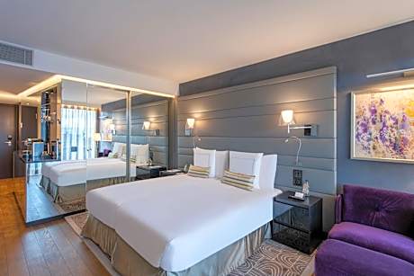 Deluxe Double Room with Park View