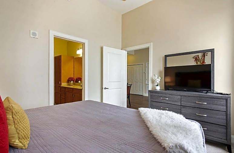 Amazing Condos Beautiful View 2 Blocks To French Quarter, Small Rooftop Pool, Gym, Seanger Theater, Super Dome, And Bourbon St