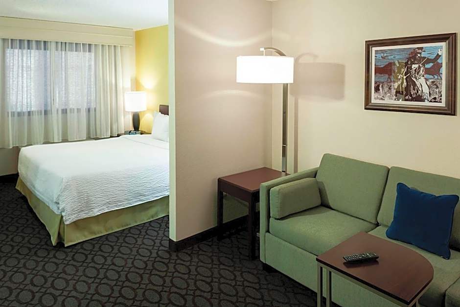 SpringHill Suites by Marriott Dallas Downtown/West End
