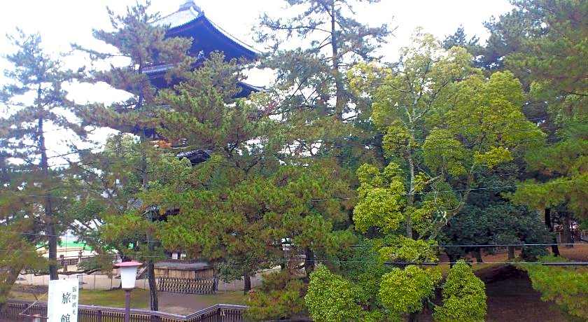 Ryokan Daibutsukan
