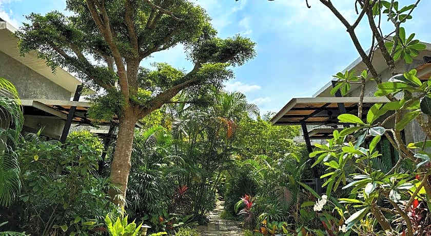 Dreamville Koh Phangan.