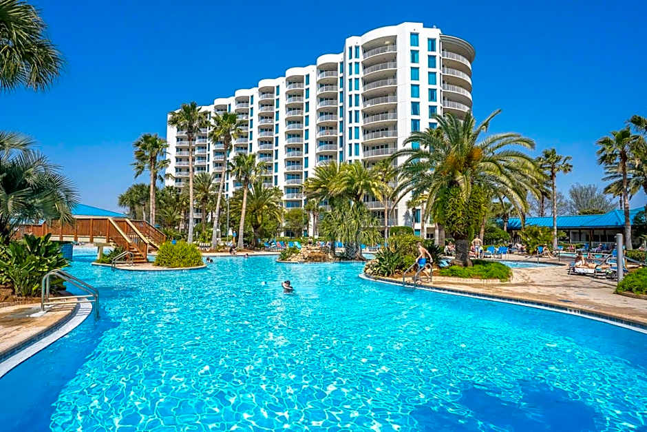 The Salty Palm