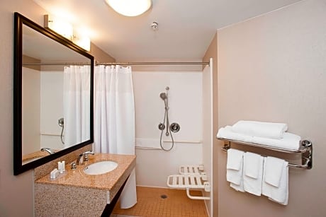 Suite, 2 Queen, Sofa bed
