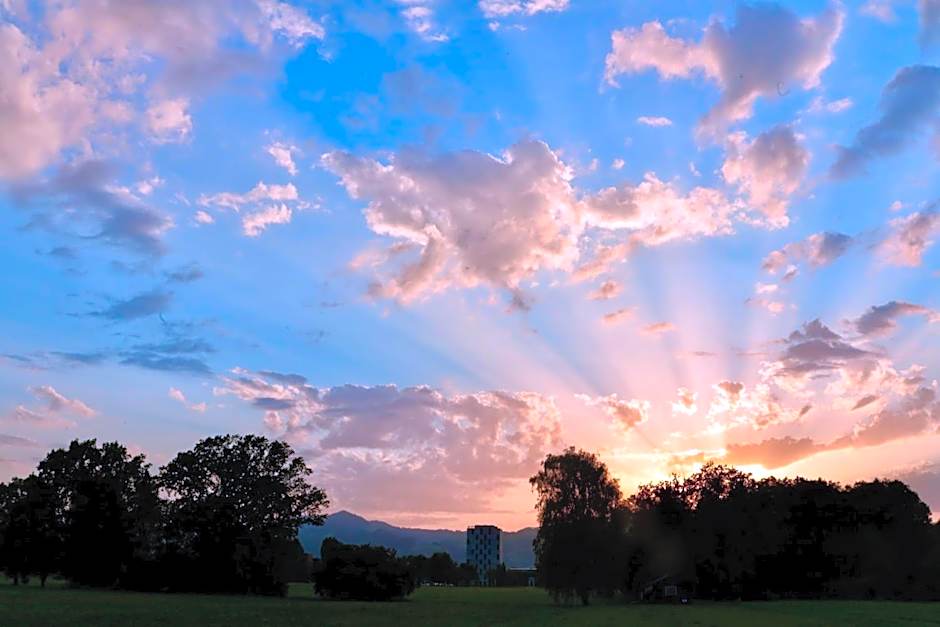 Amedia Lustenau, Trademark Collection by Wyndham