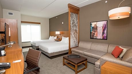 Specialty Queen Room with Spa Shower
