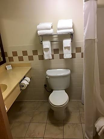 1 King Bed, Premier Studio Suite, Jetted Tub, Non-Smoking