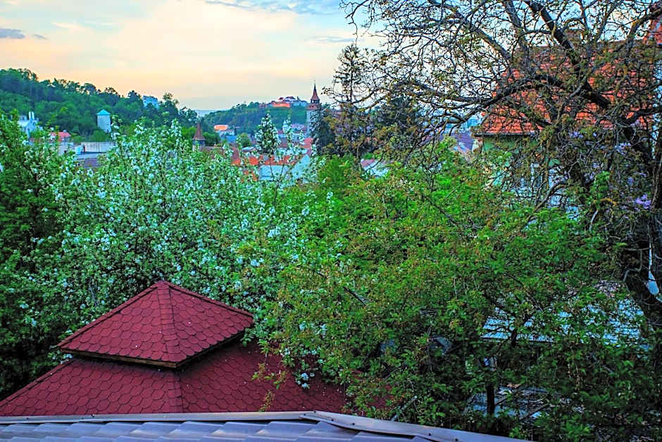 Pension Brasovu Vechi