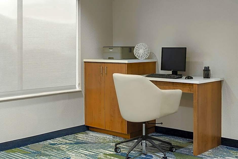 SpringHill Suites by Marriott Frankenmuth