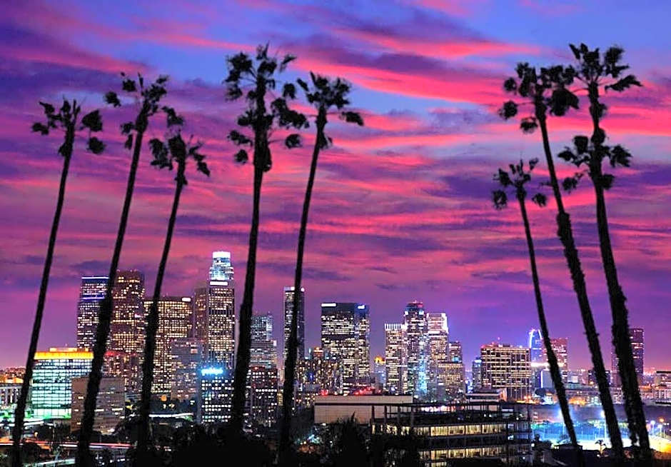 Modern Apartment Rentals