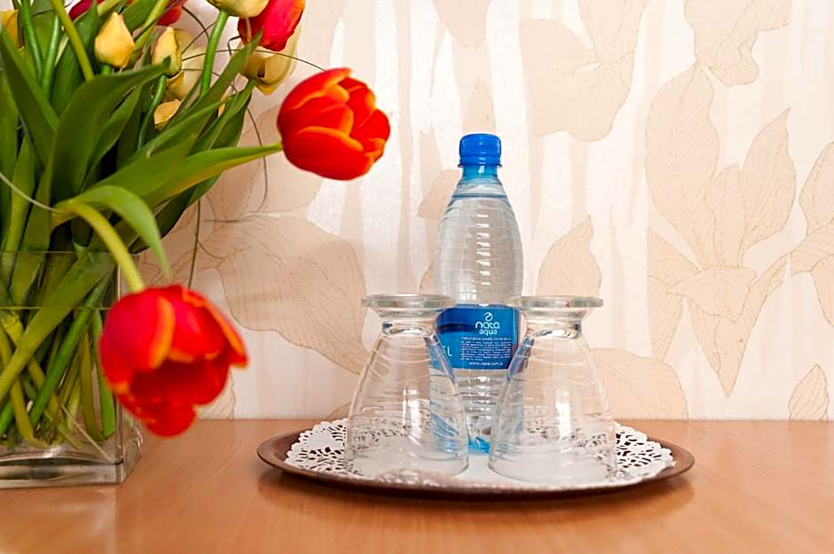 Villa Anna - Noclegi Rooms - FREE parking, taras, 1500m do Starówki