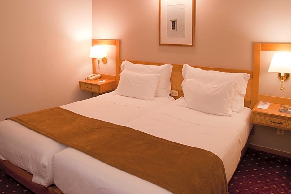 Hotel Rainha D. Amélia, Arts & Leisure