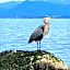 Kye Bay BnB - A Place to Breathe