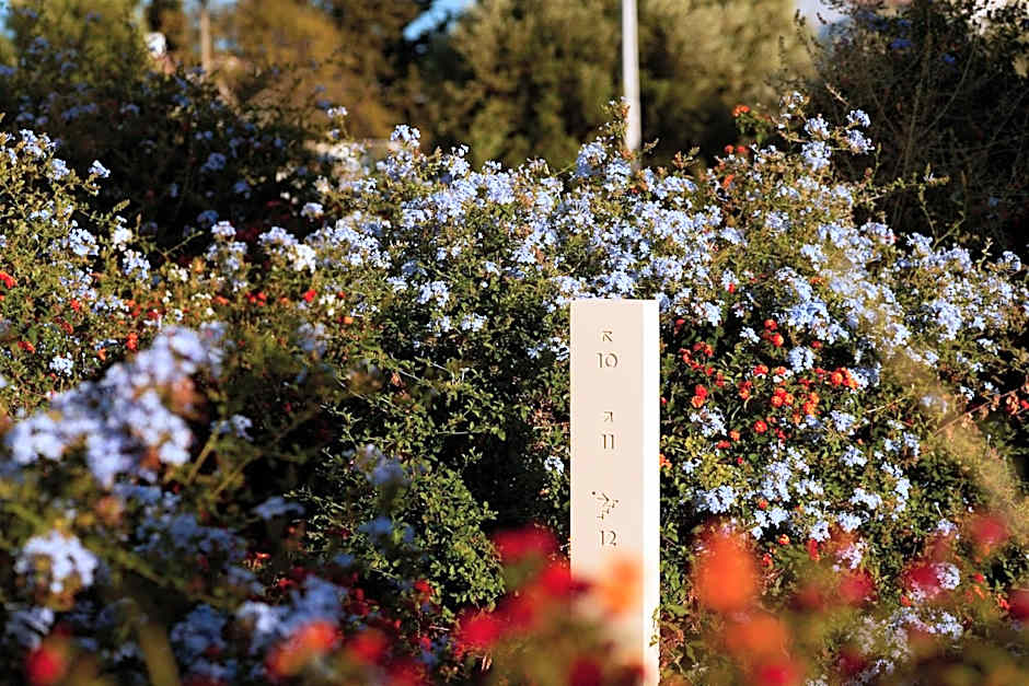 White Shell Beach Villas