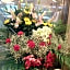 Hotel Suntargas Ueno - Vacation STAY 08486v