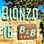 B&B Bionzo16