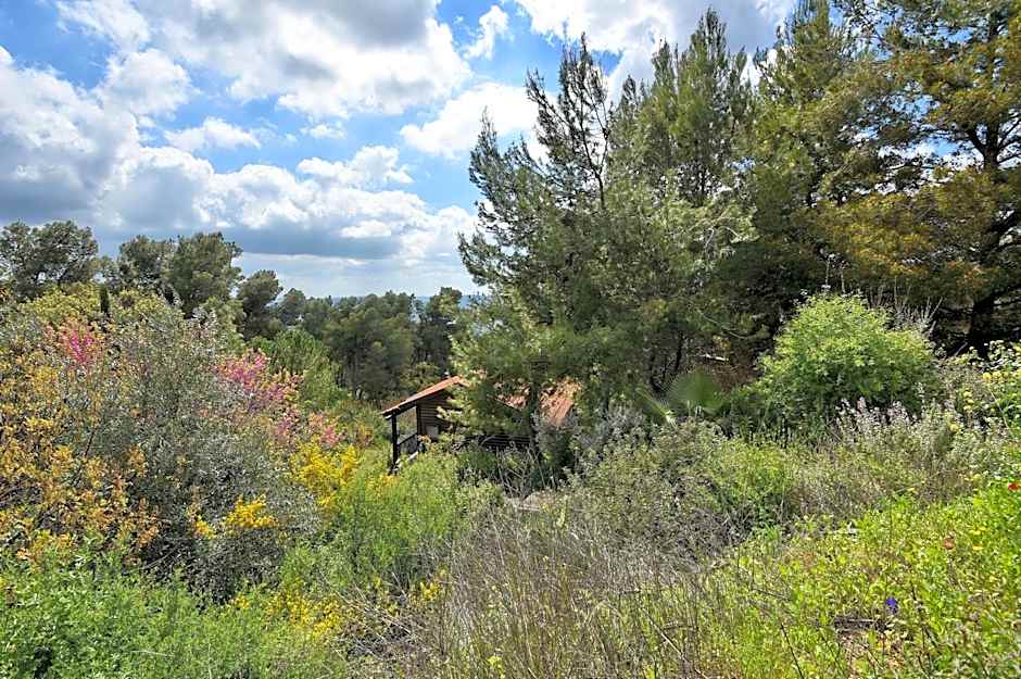 Zimmers at the Forest