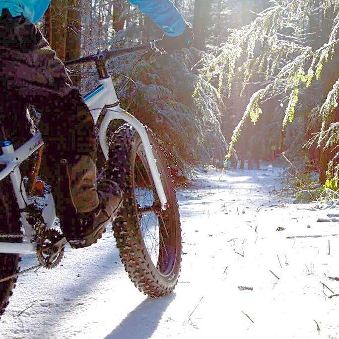 Initial- Soeur No15 - MSA