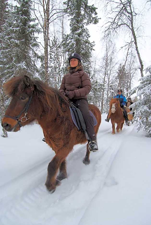 Arctic Shaman Adventures -Jurtta
