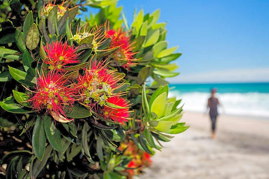 Tasman Holiday Parks - Beachaven