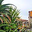 El Camino Inn