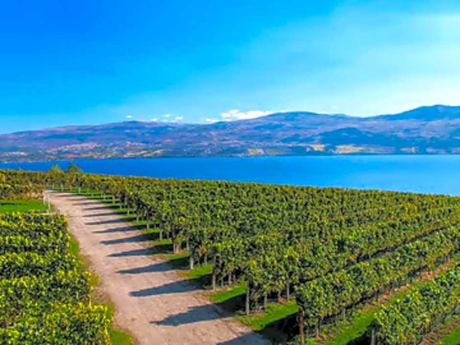 Motel 6 Fancy Gap VA